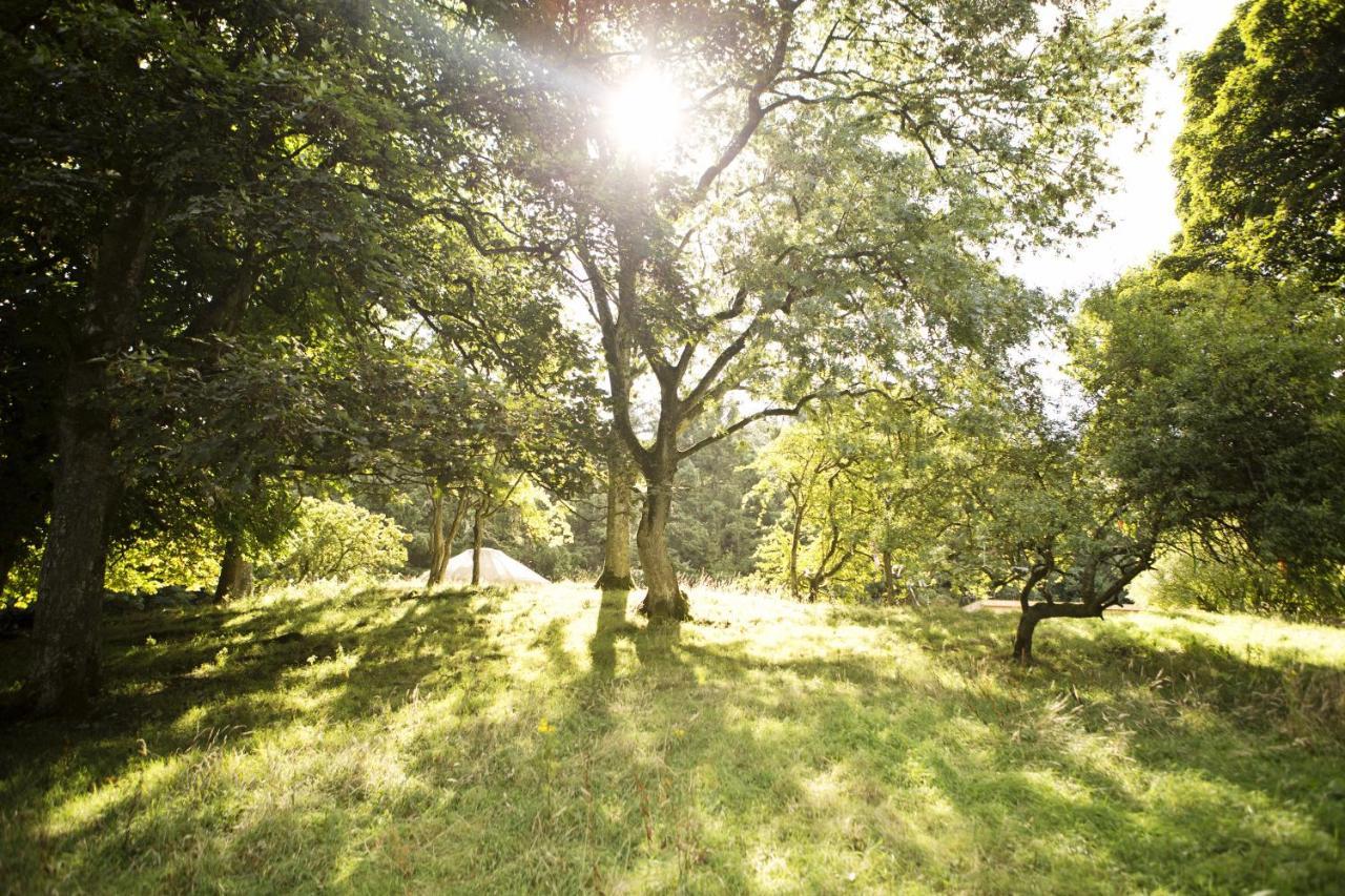 Rock Farm Slane - Glamping Hotell Rom bilde